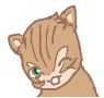 リュック リュック